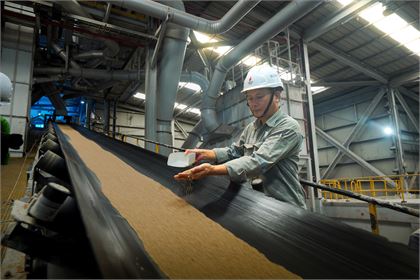 Dây chuyền sản xuất Đạm Phú Mỹ